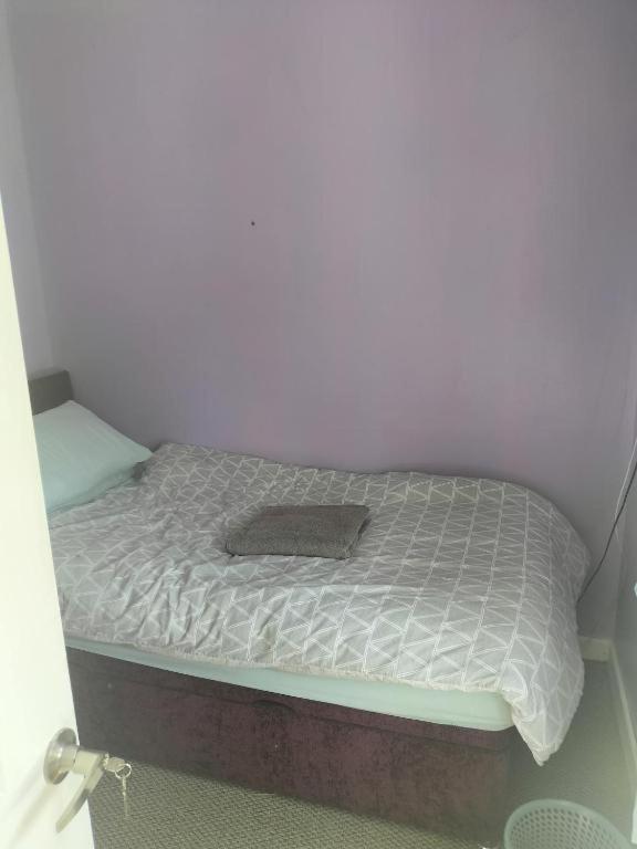 Accomadation ريكسهام المظهر الخارجي الصورة